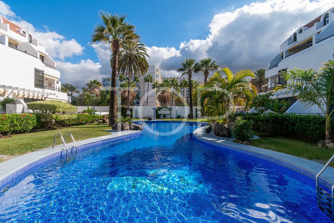 Apartment in Playa de las Americas, Canary Islands, Spain 4 - 16850704