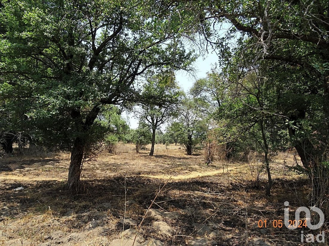 Land in Emiliano Zapata, Puebla, Mexico 5 - 16844836