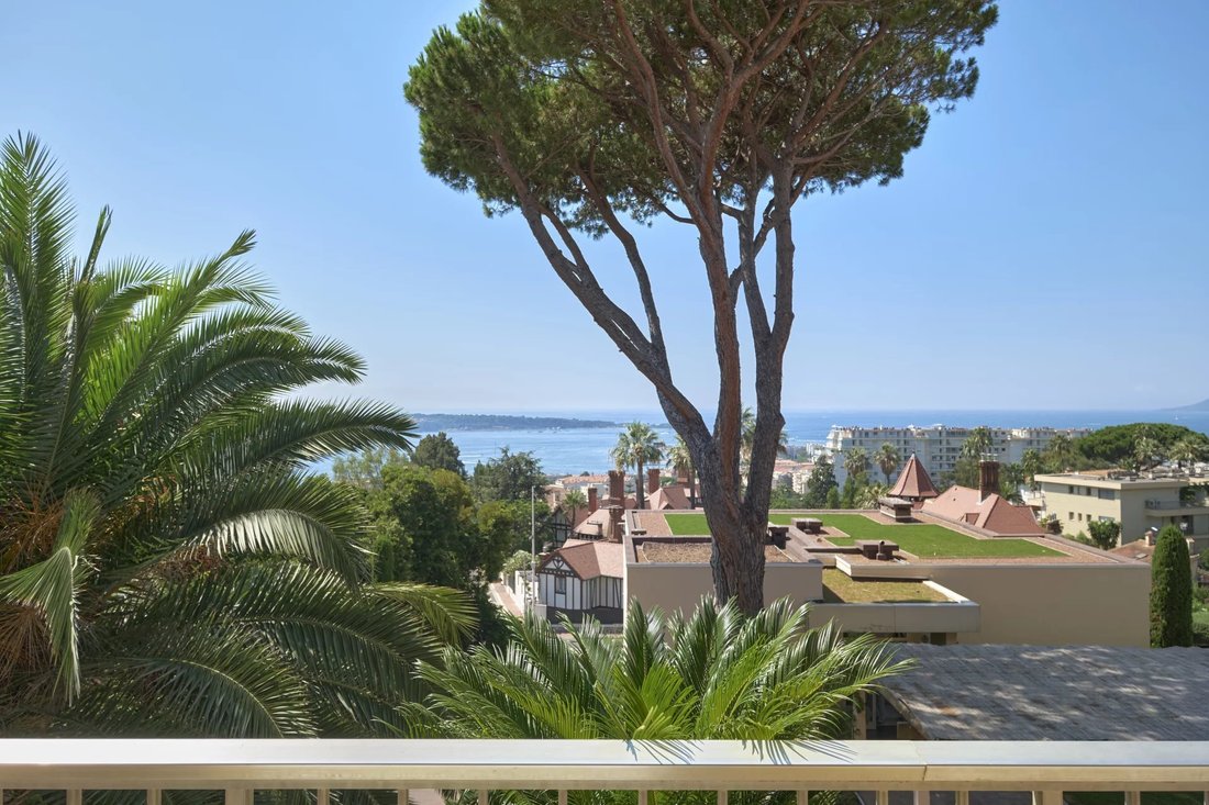 Apartment in Montfleury, Cannes, France 2 - 16844624