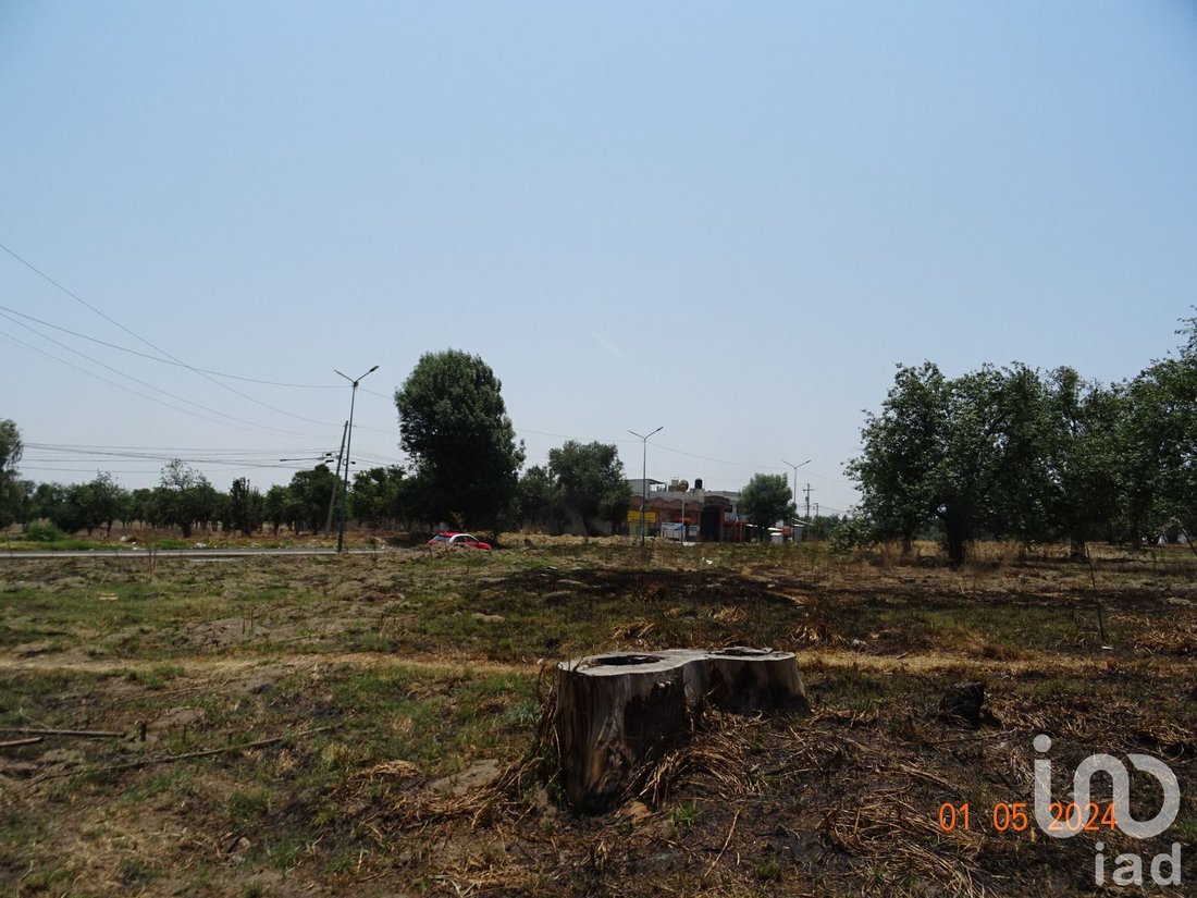 Land in Emiliano Zapata, Puebla, Mexico 1 - 16844836