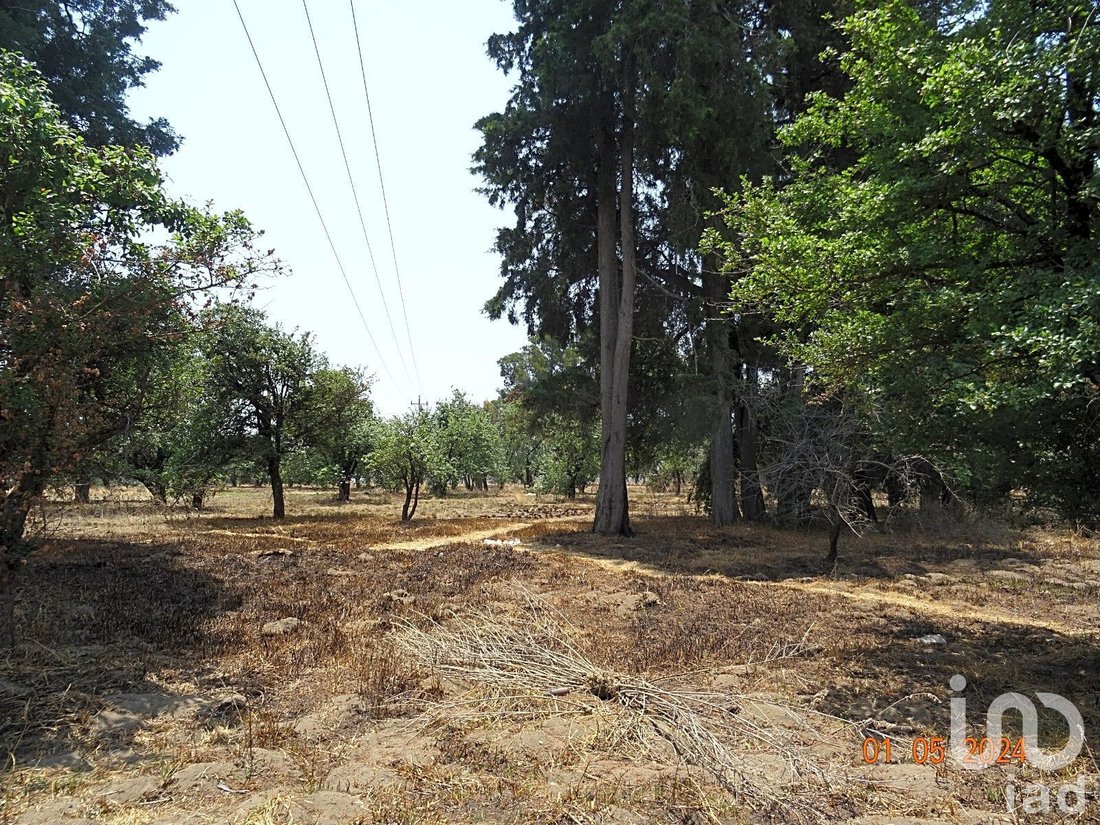 Land in Emiliano Zapata, Puebla, Mexico 4 - 16844836