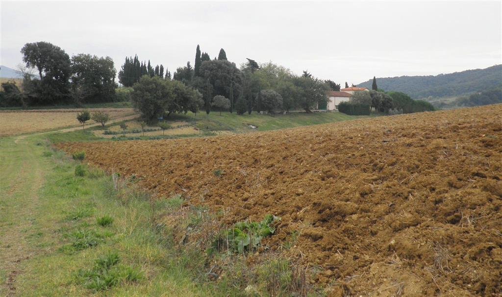 Country House in Monte alla Rena Center, Rosignano Marittimo, Italy 2 - 16847573