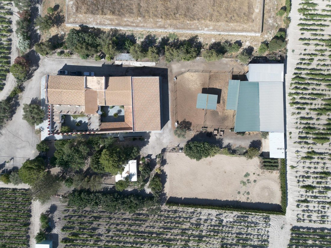 Finca en Sanlúcar de Barrameda, Andalucía, España 5 - 16851661