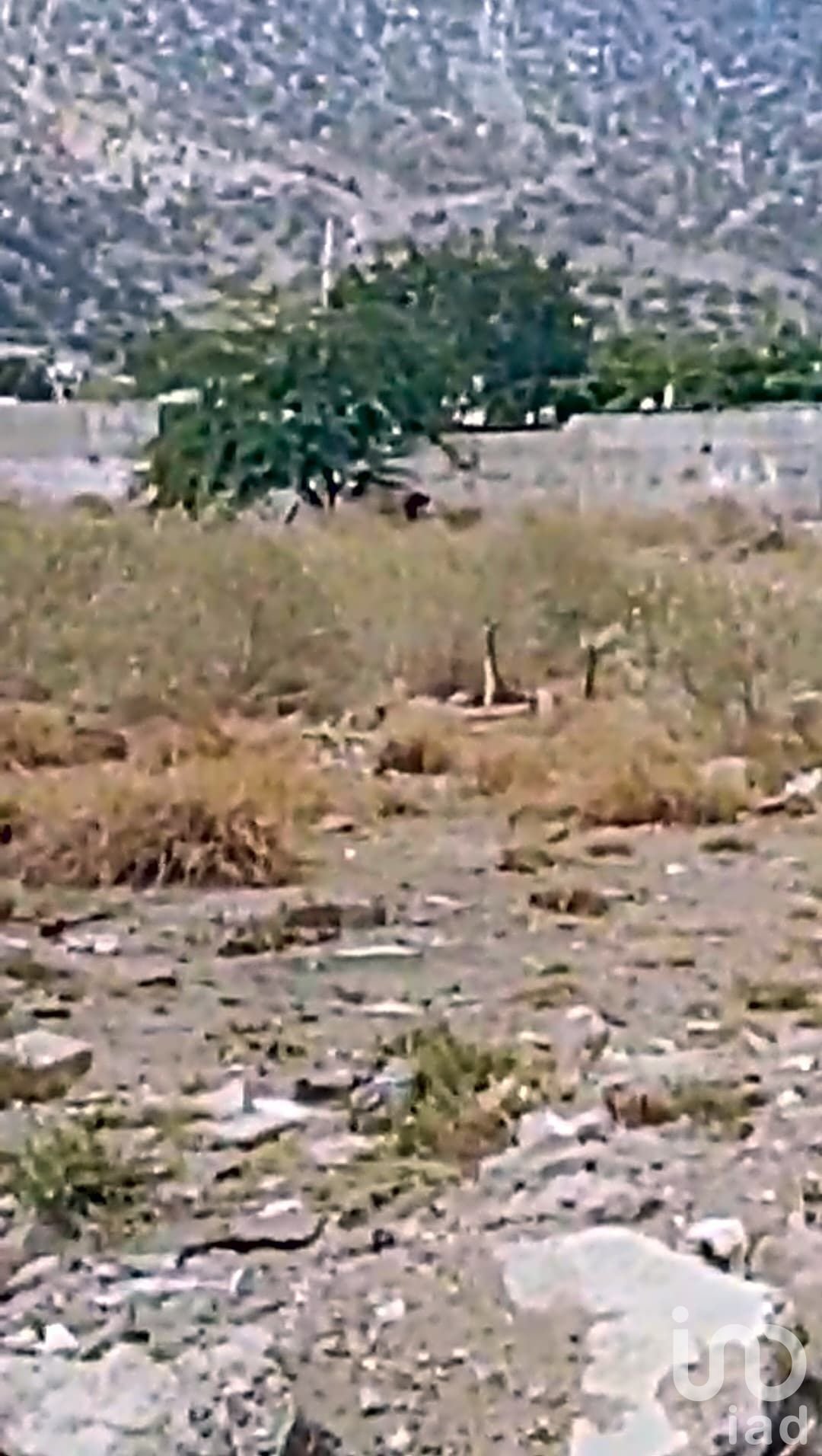 Land in Villa del Real, Sonora, Mexico 1 - 16844842