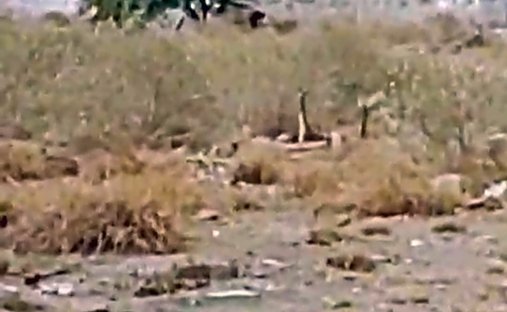 Land in Villa del Real, Sonora, Mexiko 1