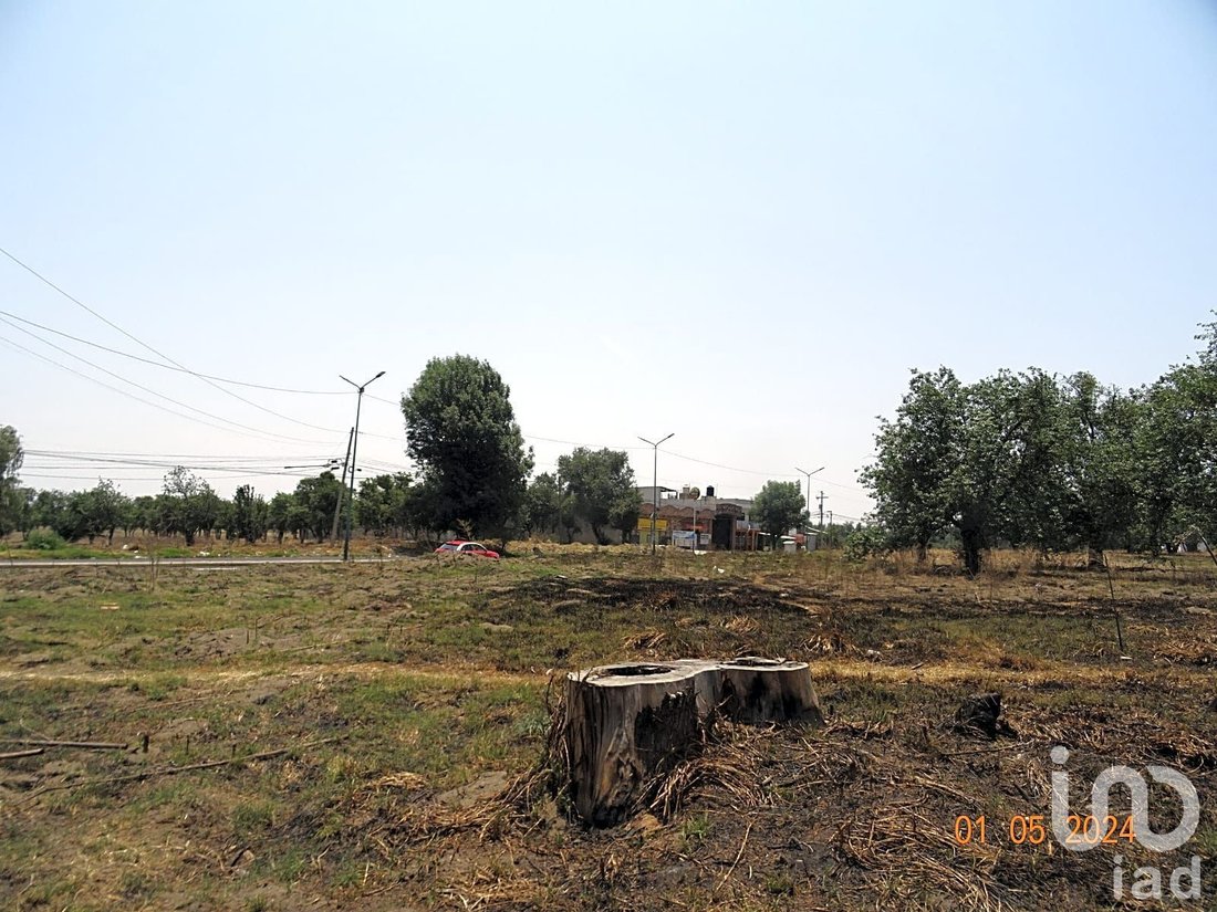 Land in Emiliano Zapata, Puebla, Mexico 3 - 16844836