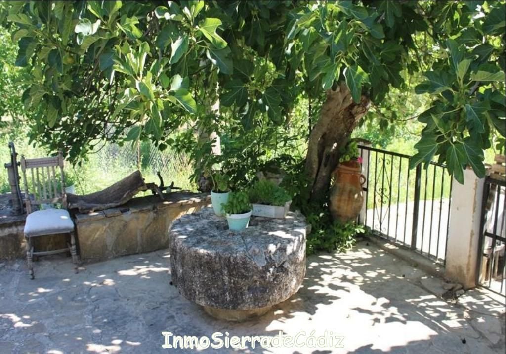 Country House in Zahara, Andalusia, Spain 5 - 16851140