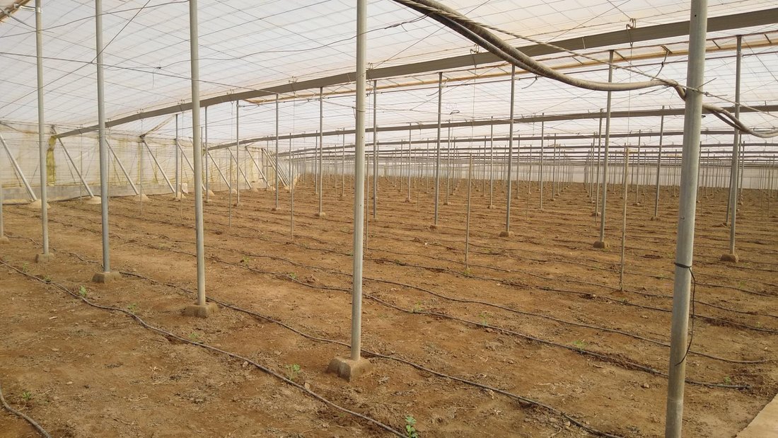 Land in Nijar, Andalusia, Spain 2 - 16851392