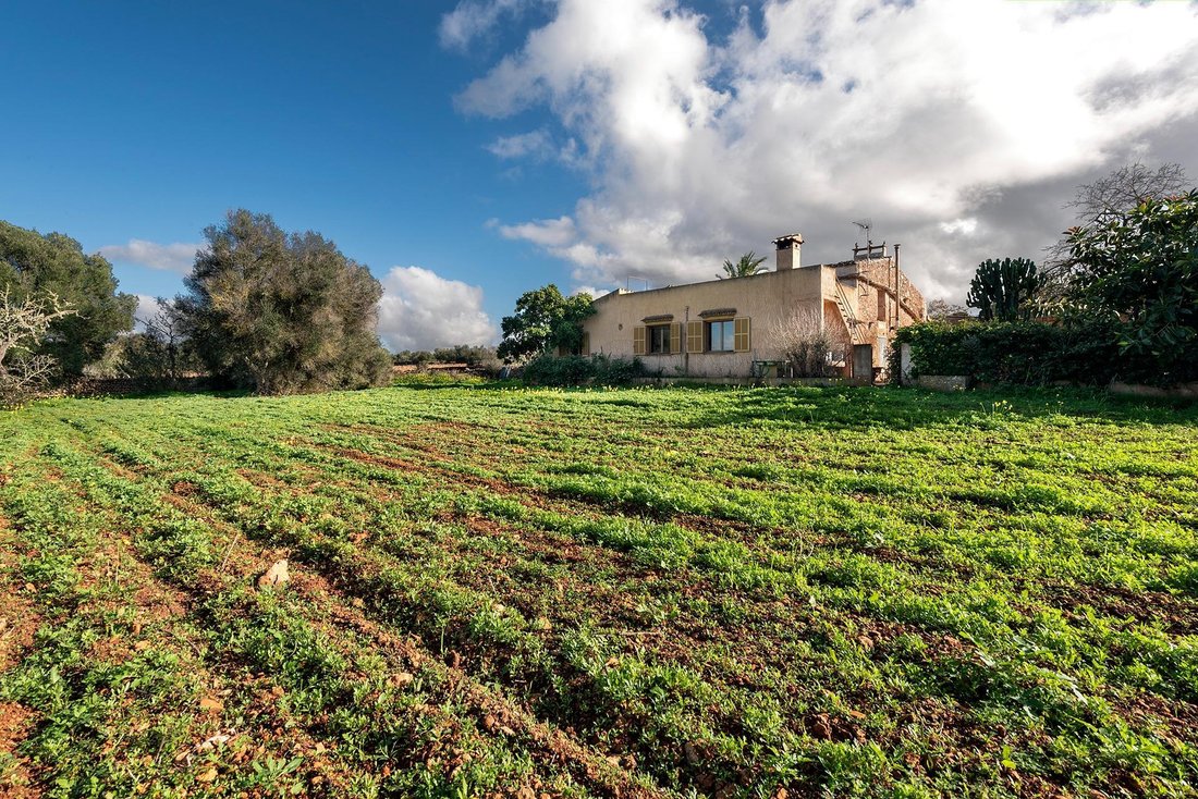 Country House in Campos, Balearic Islands, Spain 3 - 16847613