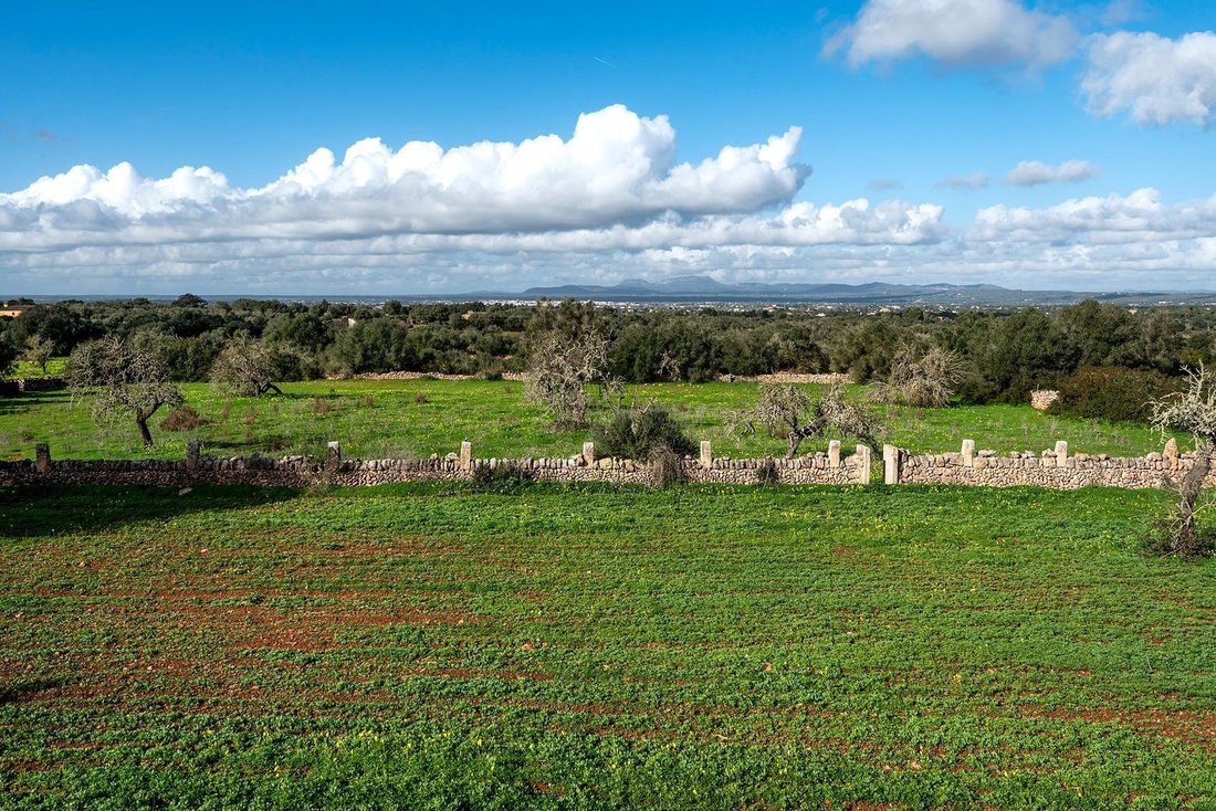 Country House in Campos, Balearic Islands, Spain 5 - 16847613
