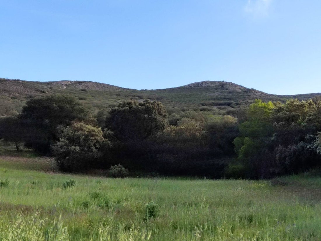 Farm Ranch in Piedrabuena, Kastilien-La Mancha, Spanien 3 - 16851151