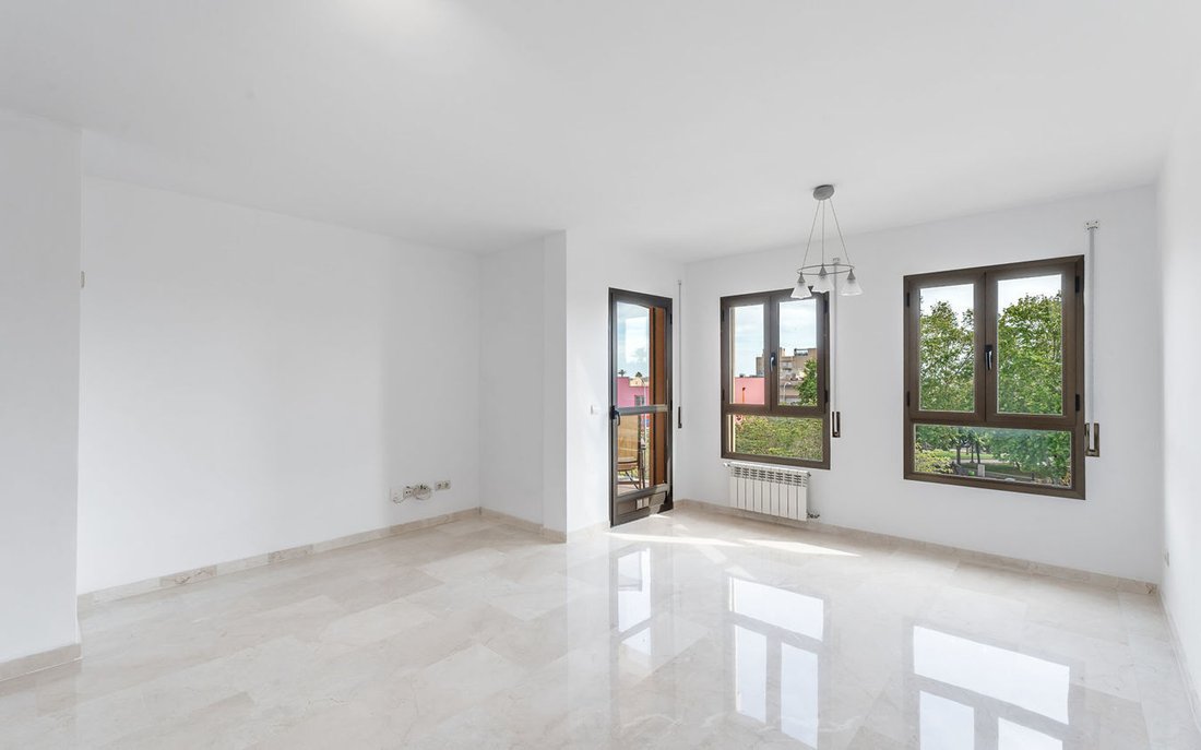 Apartment in Palma, Balearic Islands, Spain 2 - 16849153