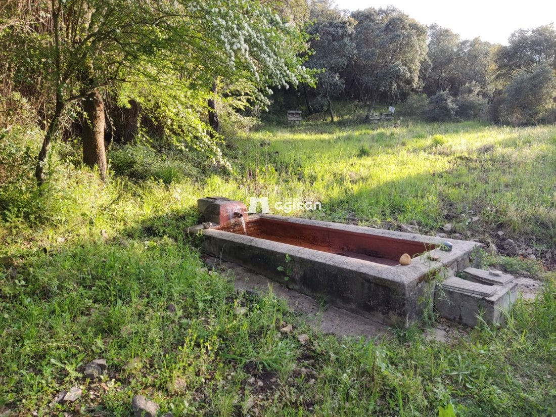 Farm Ranch in Piedrabuena, Kastilien-La Mancha, Spanien 2 - 16851151