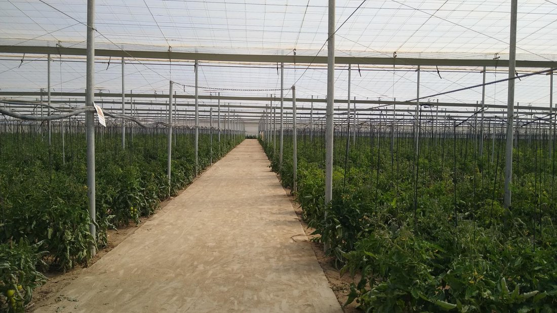 Land in Nijar, Andalusia, Spain 1 - 16851392