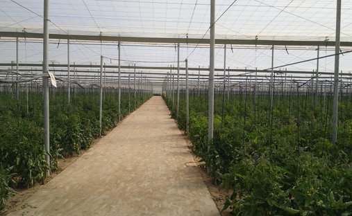 Land in Nijar, Andalusia, Spain 1