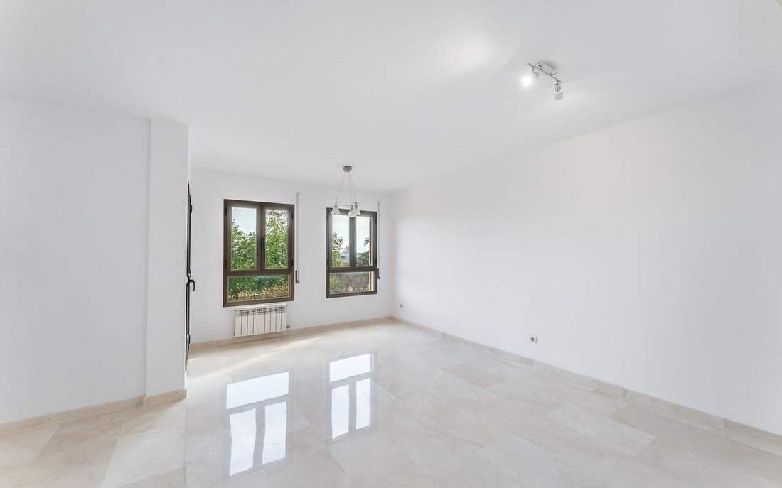 Apartment in Palma, Balearic Islands, Spain 3 - 16849153