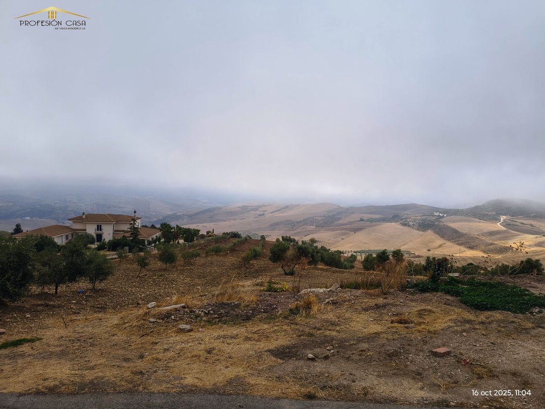 Finca in Antequera, Andalusia, Spain 4 - 16851447