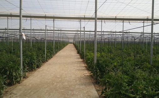 Land in Nijar, Andalusia, Spain 1