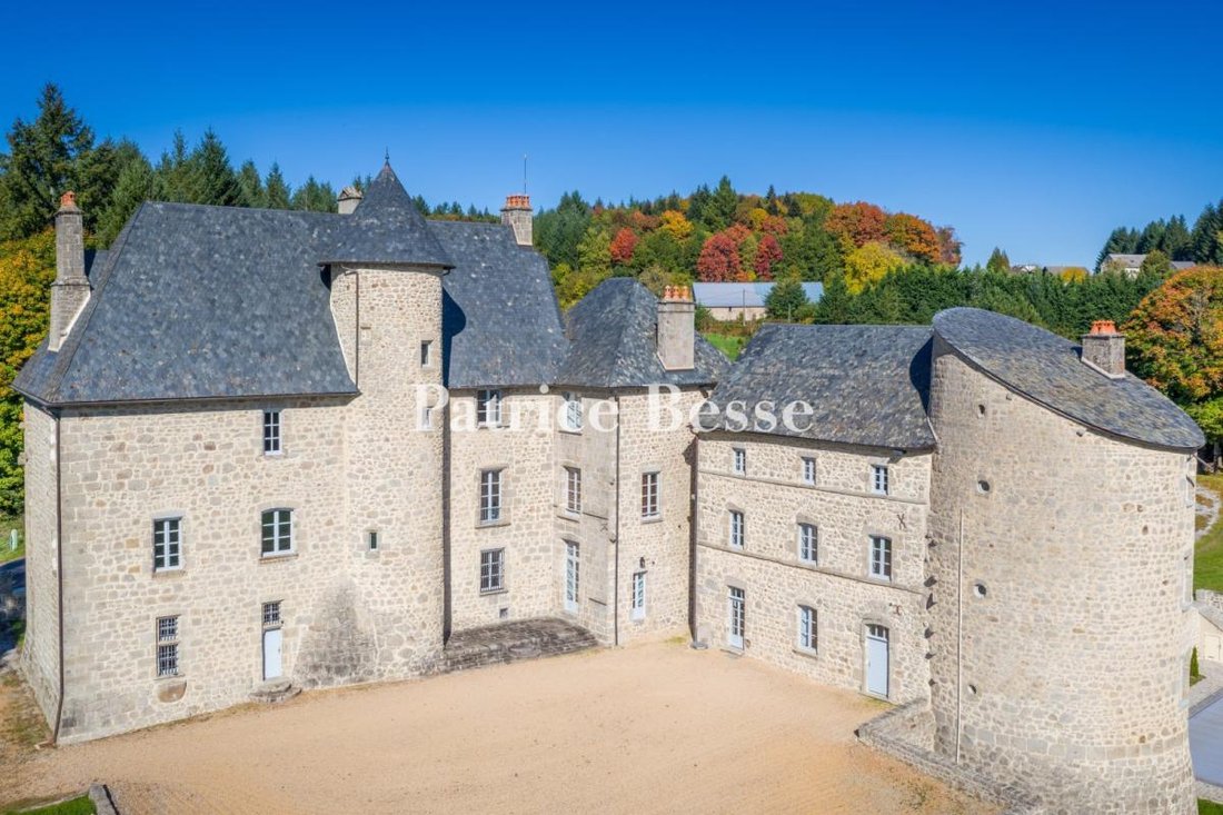 Castle in Ussel, Nouvelle-Aquitaine, France 4 - 16846263