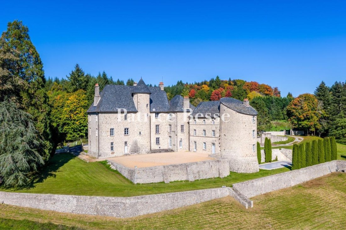 Castle in Ussel, Nouvelle-Aquitaine, France 1 - 16846263