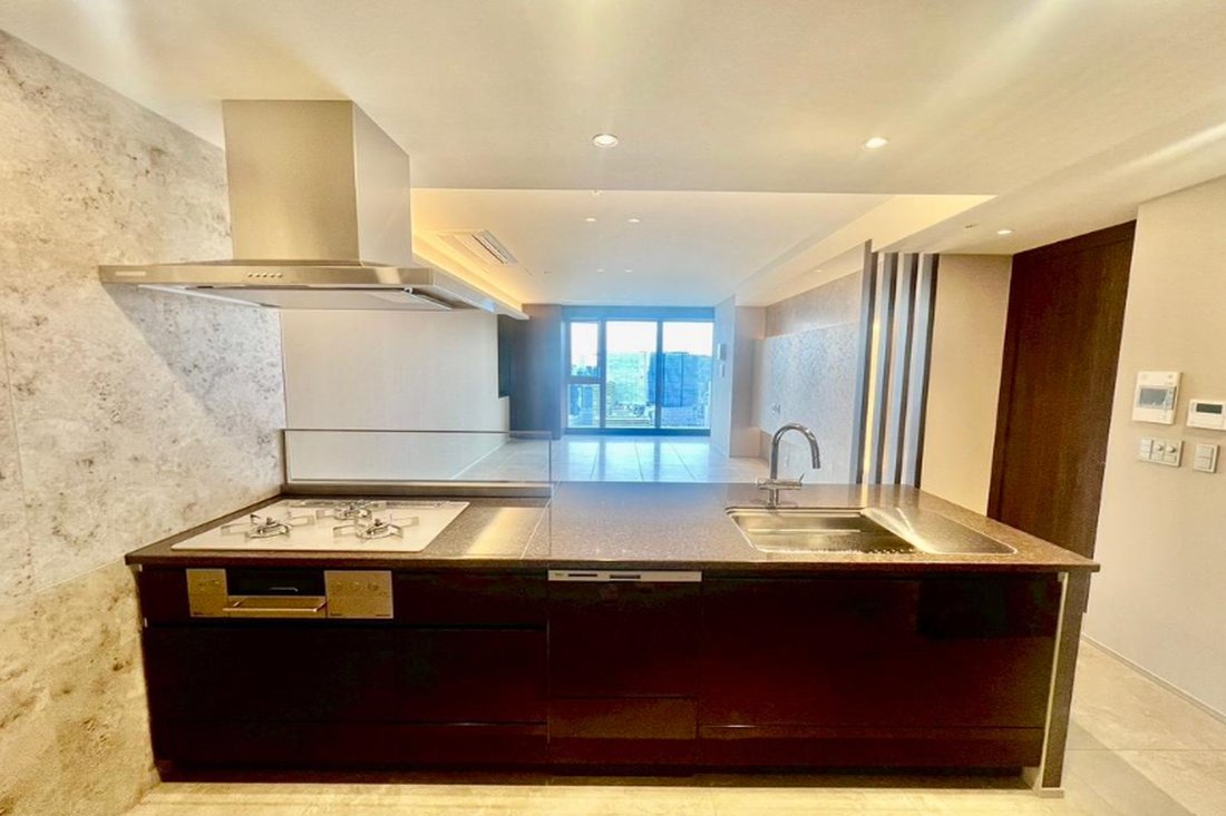 Condo in Osaka, Osaka, Japan 3 - 16853088