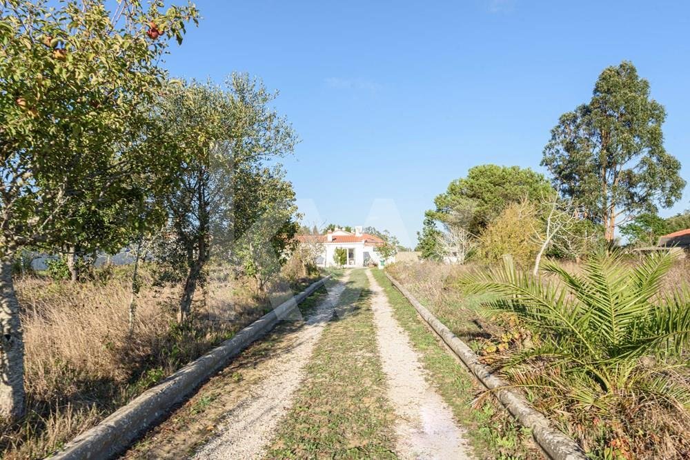 House in Sintra, Lisbon, Portugal 1 - 16844972