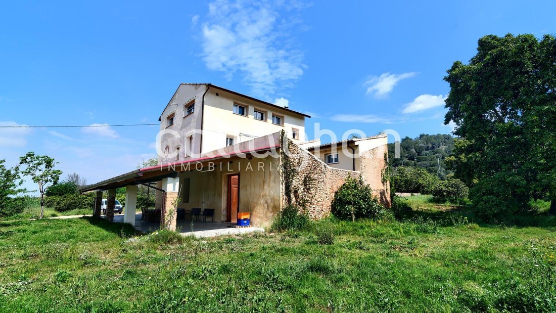 Villa in Alzira, Valencian Community, Spain 2 - 16847861