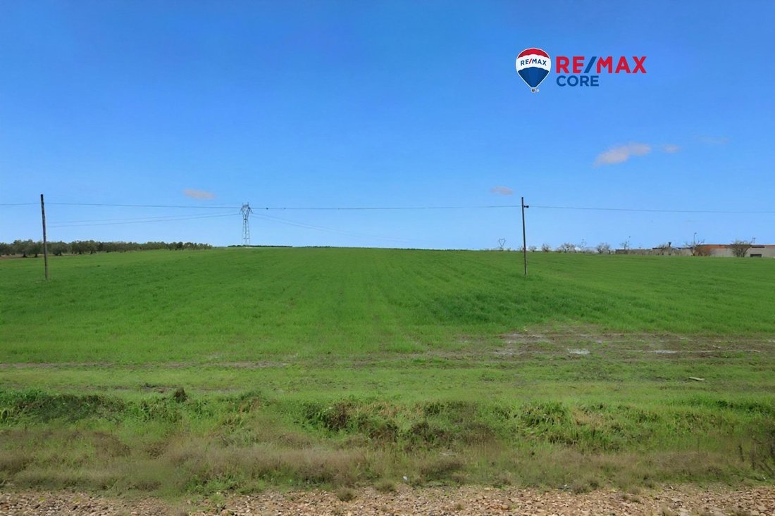 Terreno a Mérida, Estremadura, Spagna 4 - 16850700