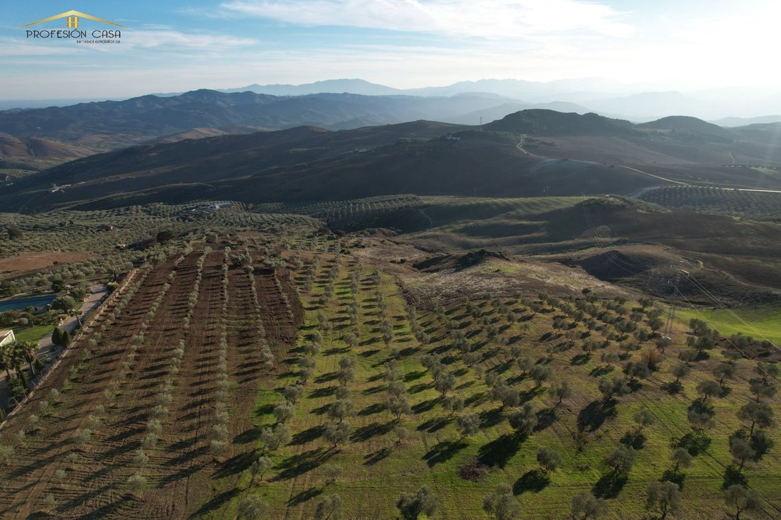 Finca a Antequera, Andalusia, Spagna 4 - 16851467