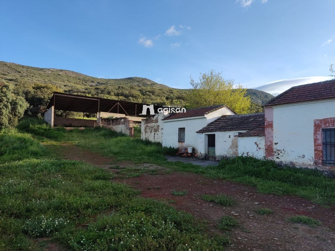Farm Ranch in Piedrabuena, Kastilien-La Mancha, Spanien 1 - 16851151
