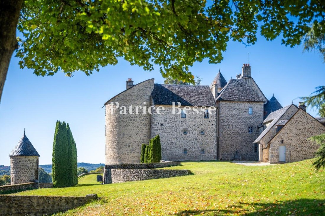Castle in Ussel, Nouvelle-Aquitaine, France 5 - 16846263