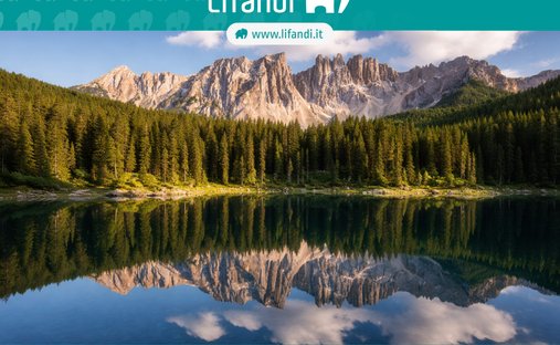 Terrain à Welschnofen - Nova Levante, Trentin-Haut-Adige, Italie 1