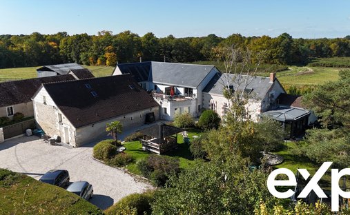 St Georges Sur Cher Authentic Manor On A Park With Enclosure Walls