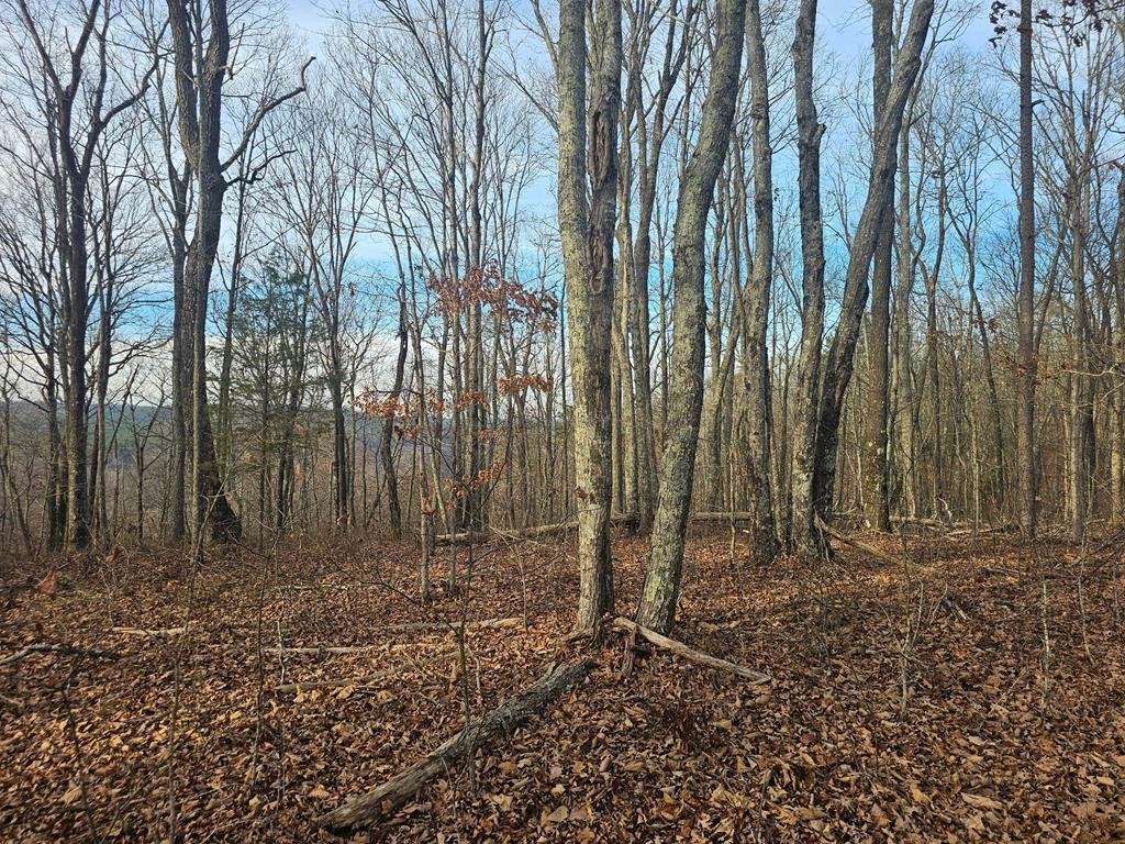 Land in Dunlap, Tennessee, United States 1 - 16849448