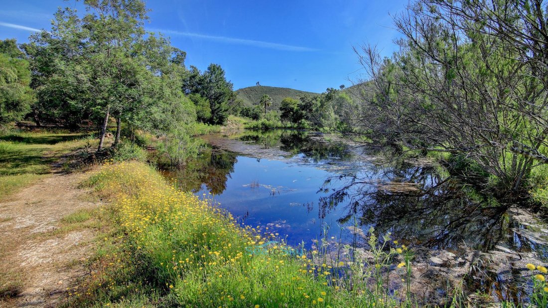House in Portimao, Algarve, Portugal 3 - 16850686
