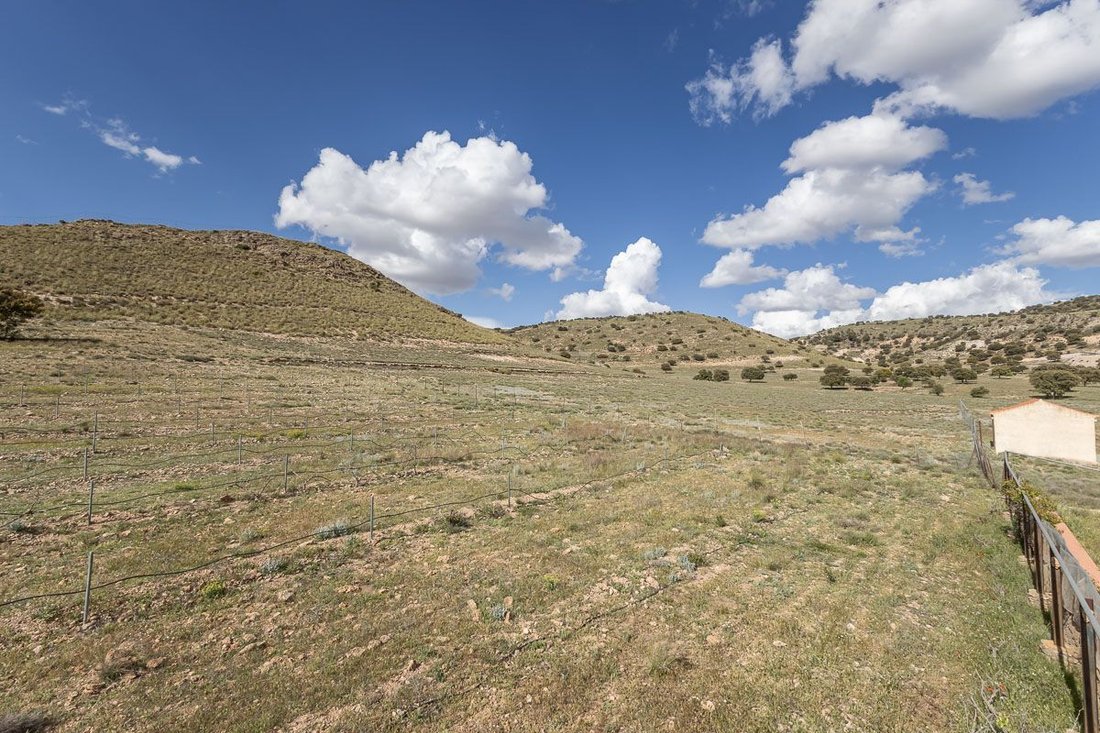 Terreno a Guadix, Andalusia, Spagna 3 - 15655936