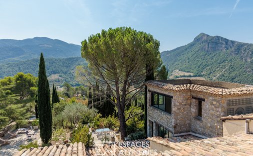 Barnes South Drôme Sumptuous Renovated Medieval Castle Panoramic View Swimming Pool - 5