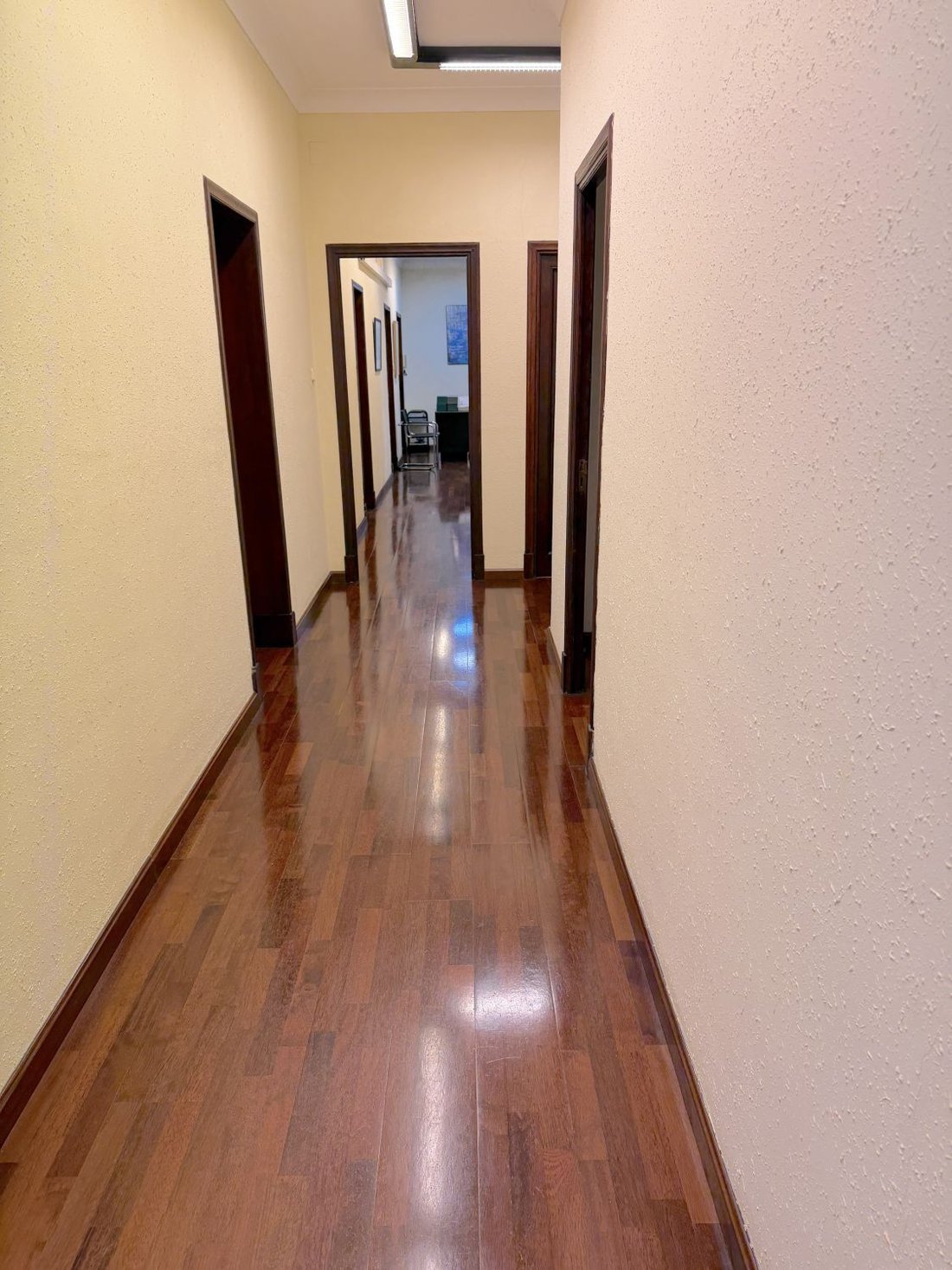 Apartment in Palma, Balearic Islands, Spain 3 - 16851346