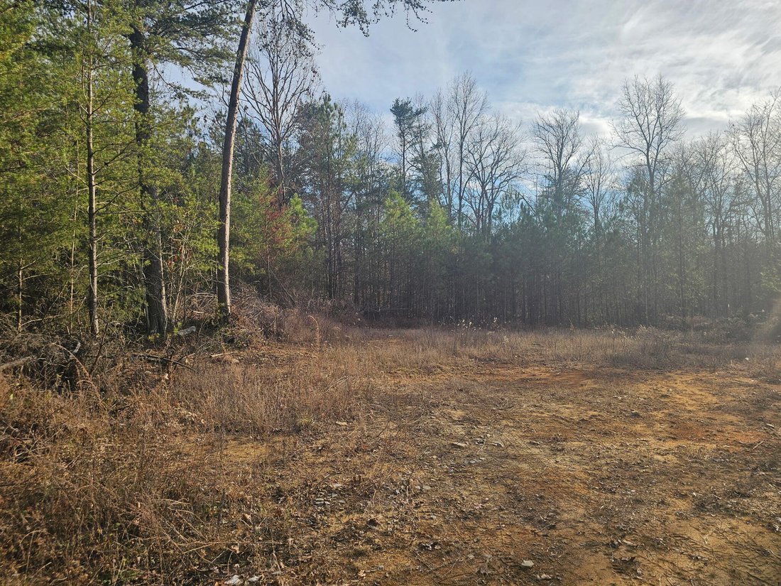 Farm Ranch in Dunlap, Tennessee, United States 3 - 16849446
