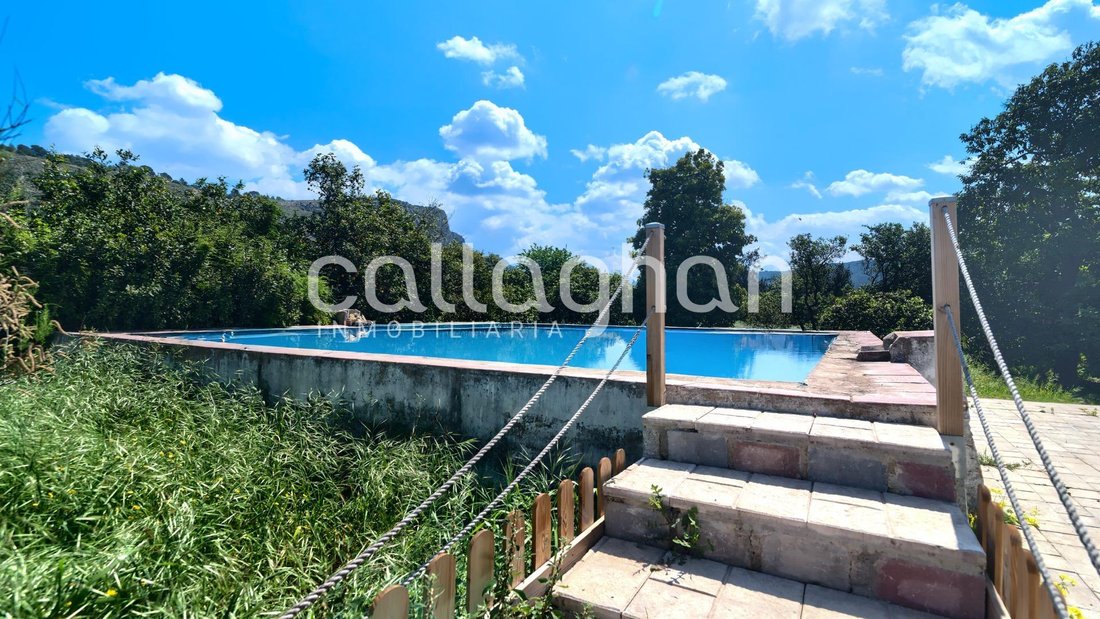 Villa in Alzira, Valencian Community, Spain 5 - 16847861