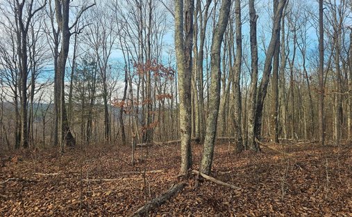 Farm Ranch in Dunlap, Tennessee, United States 1