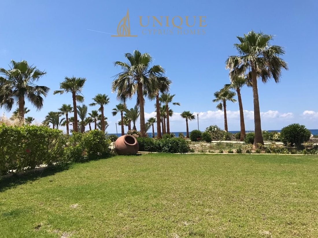 Villa in Chloraka, Paphos, Cyprus 4 - 16844739