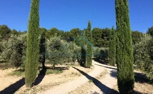 Villa a Mouriès, Provenza-Alpi-Costa Azzurra, Francia 1