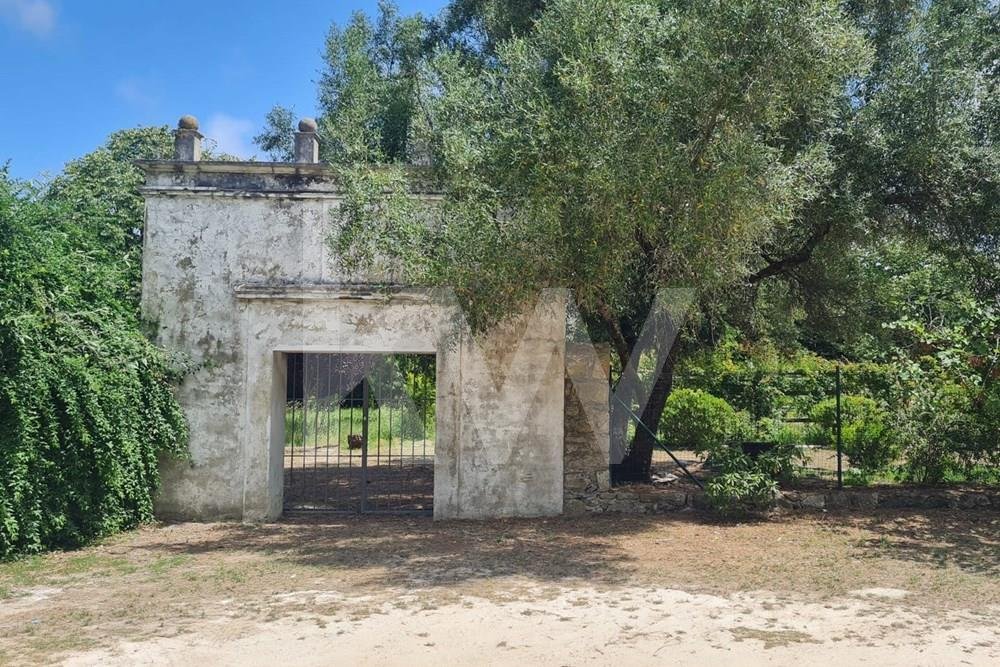 House in Sintra, Lisbon, Portugal 1 - 16844942