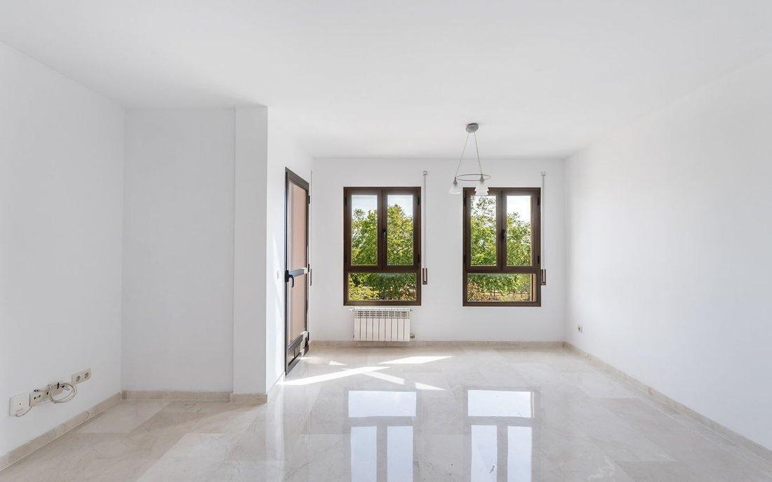 Apartment in Palma, Balearic Islands, Spain 4 - 16849153