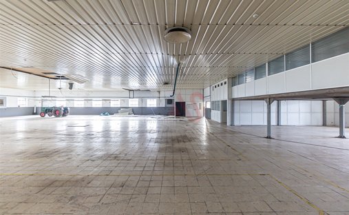 Regilde, Oporto, Portogallo 1