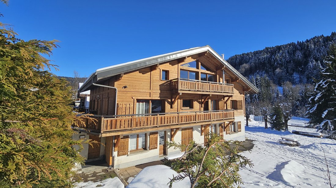Apartment in Les Gets, Auvergne-Rhône-Alpes, France 1 - 16844723