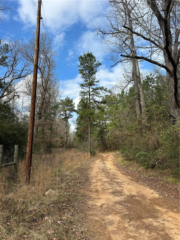 Land in Oakwood, Texas, United States 4 - 16850231