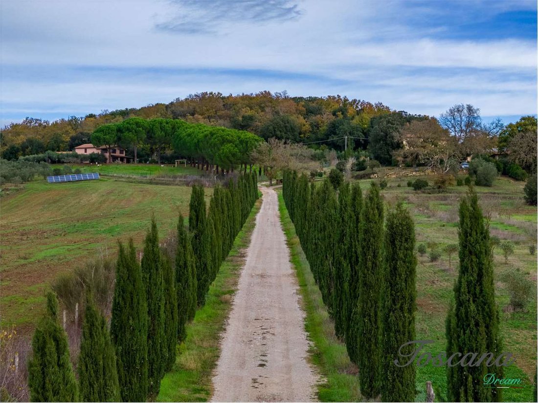 Estate in Massa Marittima, Tuscany, Italy 5 - 16846224