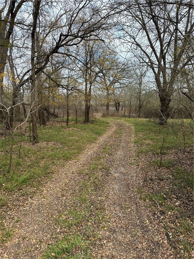 Land in Oakwood, Texas, United States 5 - 16850231